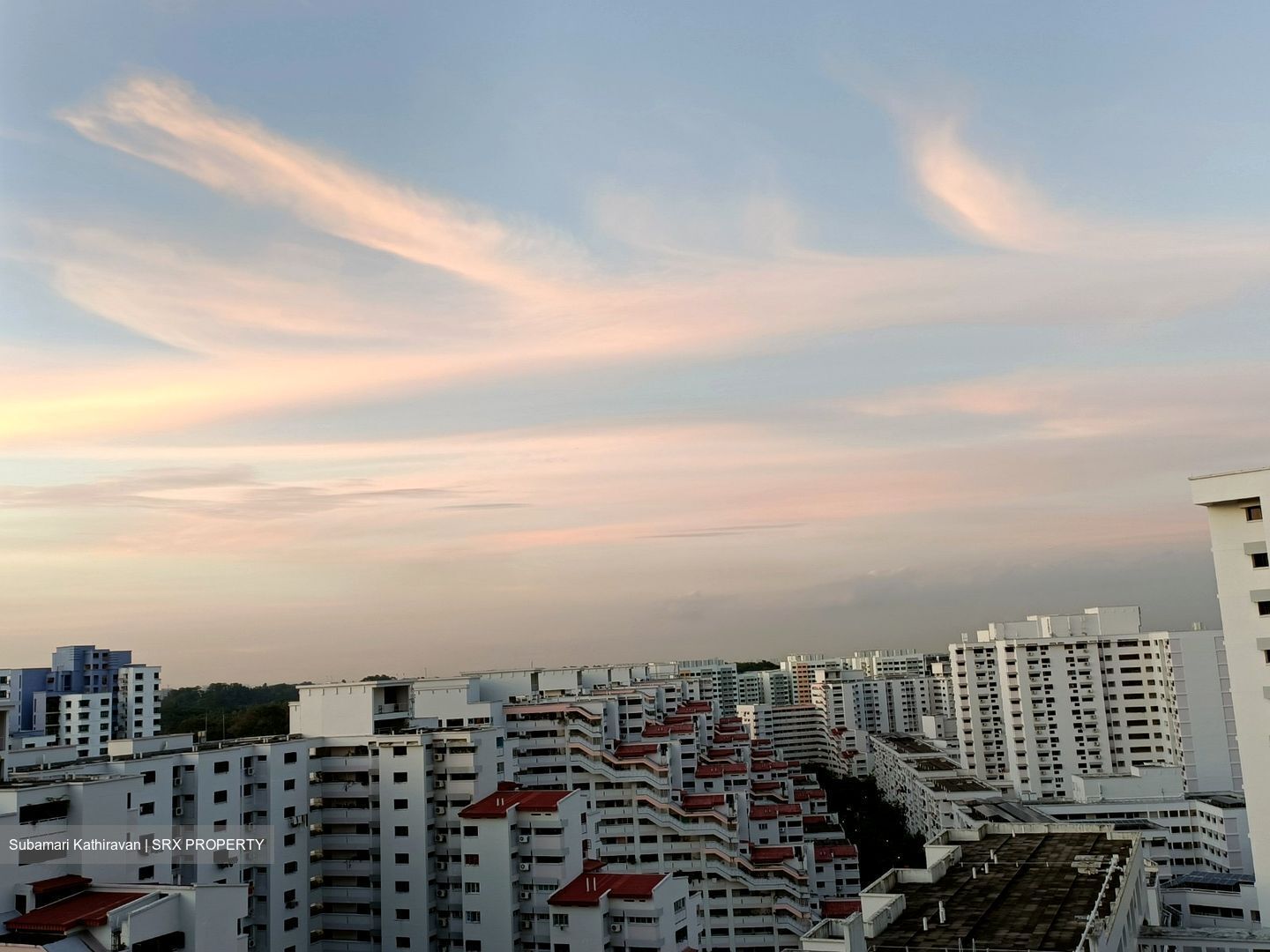 Blk 534 Panshan Grove (Bukit Panjang), HDB 4 Rooms #519135241
